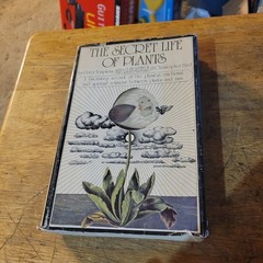 The Secret Life of Plants by Christopher O. Bird and Peter Tompkins 1973. HC DJ