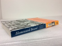 Homeward Bound: American Families in the Cold War Era by Elaine Tyler May1999 PB