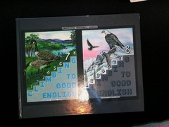 Climbing to Good English Grade 8 Set — Schoolaid