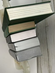 The New World Translation of THE HOLY Scriptures & Insight on Scripture Vol 1