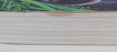 Elf Realm Book #1: The Low Road – By Daniel Kirk. Paperback; 498 Pages.
