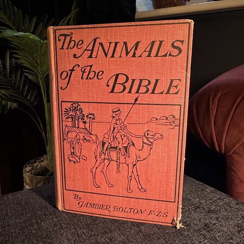 1901 The Animals Of The Bible Gambier Bolton Illustrated Natural History Book