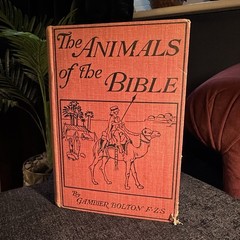 1901 The Animals Of The Bible Gambier Bolton Illustrated Natural History Book