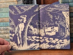 Lot of 32 Vintage 1930-1961 Nancy Drew Mystery Detective Books, Cloth Bound HC