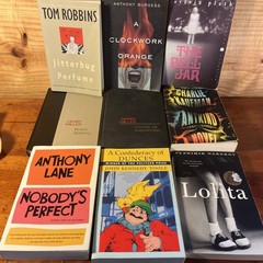 9 Book Literary Fiction Lot Plath Nabokov Miller Burgess Kaufman Robbins Toole