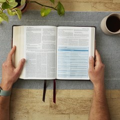 NKJV Study Bible, Hardcover, Burgundy, FullColor, Comfort Print The Complete …