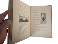 Moths and Butterflies Mary C. Dickerson 200 Photos 1901 HC Entomology Book