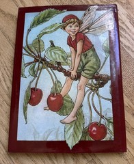 FLOWER FAIRIES OF THE SEASONS By Cicely Mary Barker – Hardcover Excellent