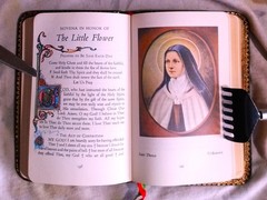 THE CATHOLIC FAMILY BOOK OF NOVENAS – John J Crawley (Still in the Box) 1956