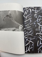 Dysfunctional Skateboarding Book First Edition by Aaron Rose 1999