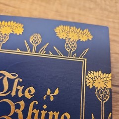 The Rhine, From Its Source to the Sea, 1898, 2 Vol. Set , Germany, Rare, Gilt