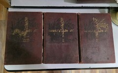 Victor Hugo Volumes 3 4 and 5 Hardcover Books 1890’s Illustrated Antique