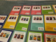 Decodables Just Right Readers High Interest Dyslexia Tutoring Lot Of 25
