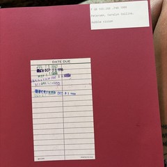 Hubble Vision Petersen And Brandt Book
