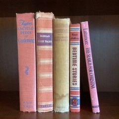 Lot Of 5 Orange Shades Vintage Books Staging Decor Display Hardcover