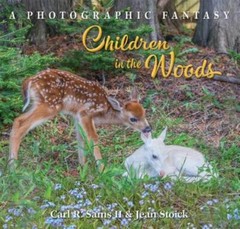 Children in the Woods by Sams, Carl