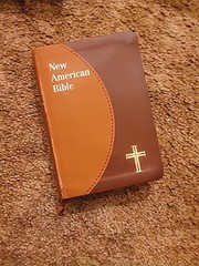 St. Joseph Personal Size Catholic Bible-Nab by Catholic Book Publishing Staff..