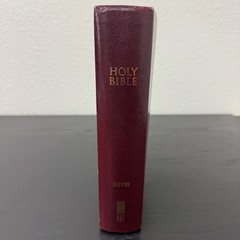NIV Giant Print Compact Bible 2011 Zondervan Burgundy Has Notes & Underlines