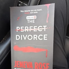 Jeneva Rose The Perfect Divorce Paperback Novel target exclusive