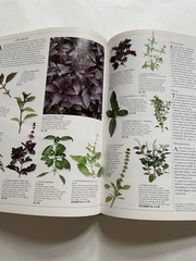 The Herb Society of America Encyclopedia of Herbs & Their Uses HC DJ Deni Bown