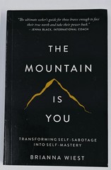 THE MOUNTAIN IS YOU BY BRIANNA WIEST