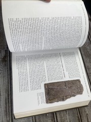 Survey of the Old Testament by John H. Walton/ Andrew E. Hill 2009 HC 3rd ed