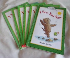 Guided Reading: Set of 6 I See, You Saw picture books