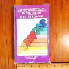 Vintage 1989 Bantam 4.25×7 mmpb PASSAGES Gail Sheehy Life Changes Age in 30s-50s