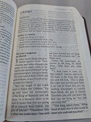 Zondervan NIV Large Print Holy Bible Leather Soft Chocolate Amber Lay Flat