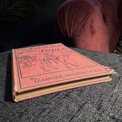 1901 The Animals Of The Bible Gambier Bolton Illustrated Natural History Book
