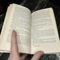 LORD OF THE FLIES Twenty-second Impression Vintage Book 1959 Nice!
