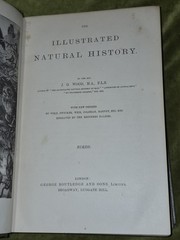 Wood’s Illustrated Natural History Mammals Birds Reptile