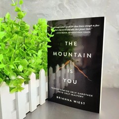 The Mountain Is You English Self-Help Book Personal Growth & Self-Transformation