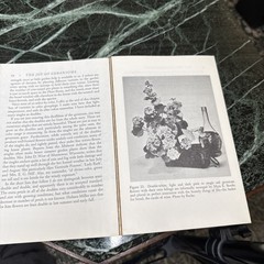 The Joy Of Geraniums Helen Van Pelt Wilson Gardening Vintage Paperback 1968
