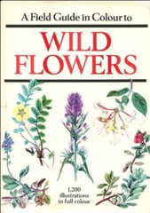 A Field Guide In Colour To Wild Flowers By Dietmar Aichele