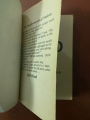 Bad Blood by Debra Doyle; James D. Macdonald First Print 1st Ed Young Adult