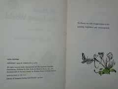 All About the Insect World Ferdinand C Lane 1954 Childrens Illustrated Hardcover