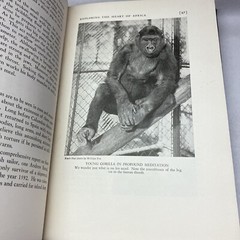 University of Knowledge Book Trailing Animals Around the World 1938 Chicago USA