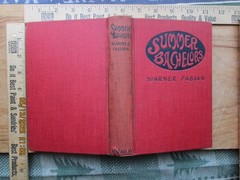Summer bachelors – warner fabian 1927
