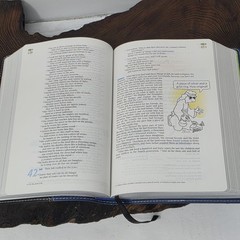 NIV Teen Study Bible Blue Black Italian Duo-Tone Zondervan Leather 2000s