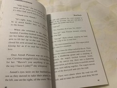 Pulling Together/Carolina’s Courage/Jenny Wren/On Yonder Mountain BJU Press Bks