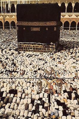 The Qur’an: Arabic Text and English Translation
