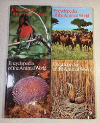 Encyclopedia of the Animal World Lot 12 Volumes 1-4 6-13 Vintage Hardcover Books
