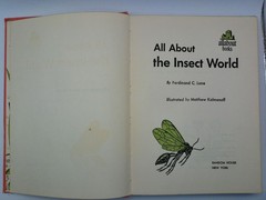 All About the Insect World Ferdinand C Lane 1954 Childrens Illustrated Hardcover
