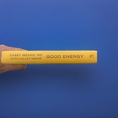 Good Energy: The Surprising Connection… Casey Means Missing – Dust Cover