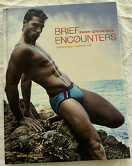 Brief Encounters: Underwear Inspires Art Jason Salzenstein 2010 Bruno Gmunder HC