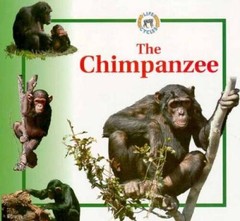 The Chimpanzee (Life Cycles (Raintree Hardcover)) – Library Binding – GOOD