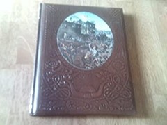 The Texans Hardcover David Nevin