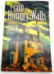 THE GOD OF HUNGRY WALLS Garrett Cook Eraserhead Press 2015 Bizarro Fiction