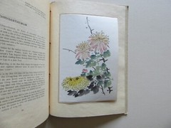 Fragrance from a Chinese Garden by Alfred Koehn Lotus Court, Peking China, 1944